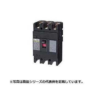 日東工業 漏電ブレーカ(協約形) GE103CA 3P 100A F30