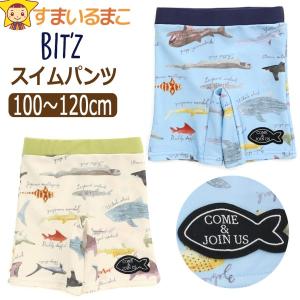 スイムパンツ 水着 ボクサー水着 キッズ 子供 UVカット サメ図鑑総柄 男の子 100cm 110cm 120cm B276034 BIT'Z ビッツ｜すまいるまこ