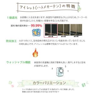 ハトメカーテン 遮光1級 目隠し 間仕切り 幅...の詳細画像1