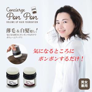増毛ふりかけ ヘアーファンデーション詰替え 分け目白髪隠しカバー