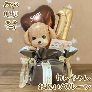 CO COさん　ペットライン ストマックケア 3kg 低脂肪 犬用ストマックケア低脂肪｜Dr.'s（ドクターズ）| ペットライン
