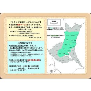 バルーンアーチ(室内用) 茨城県 水戸市 日立...の詳細画像1