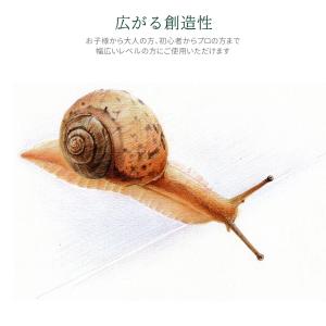 色鉛筆 24色 油性 色えんぴつ スケッチ 画...の詳細画像4