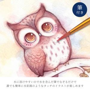 色鉛筆 水彩 24色セット 水溶性鉛筆 画材 ...の詳細画像3