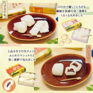 羽二重餅 はぶたえ 選べる 2個セット 小箱 ...の詳細画像5