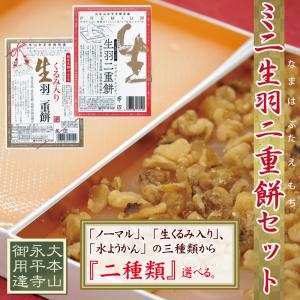 お中元 ミニ生羽二重餅 2種セット ノーマル くるみ入り