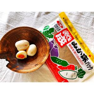 つけもと 熟成ぬか床パック 1kg×3個の詳細画像3