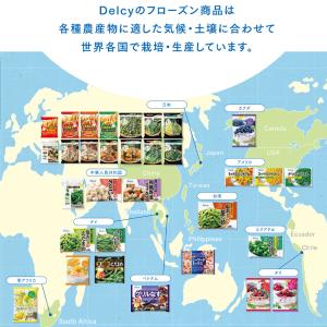 冷凍食品 Delcy 塩あじえだまめ 400g 冷凍の詳細画像2