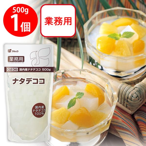 フジッコ 業務用 国内産ナタデココ 500g