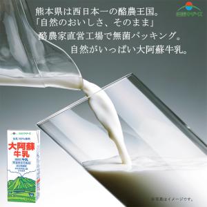 らくのうマザーズ 大阿蘇牛乳 1L×6個の詳細画像3