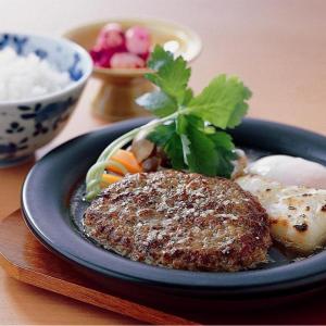 [冷凍] 日東ベスト JGハンバーグヴィアンド...の詳細画像3