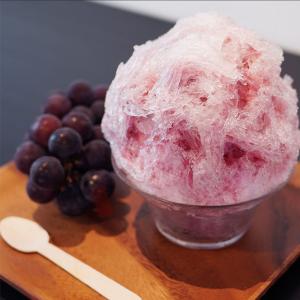 爆買[冷凍] 小久保製氷冷蔵 貫目氷 3.75kgの詳細画像3