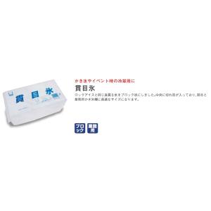 爆買[冷凍] 小久保製氷冷蔵 貫目氷 3.75kgの詳細画像4