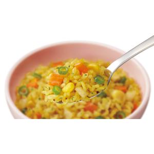 尾西食品 アルファ米 ドライカレー 1食分 非...の詳細画像3