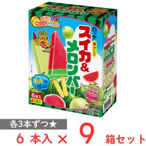 [アイス] ロッテ スイカ＆メロンバー 420ml×9箱