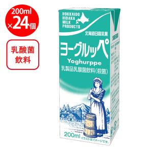 南酪 ヨーグルッペ 南日本酪農協同 200ml×36本 : イズミックワールド