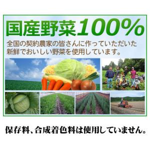 [冷凍]リンガーハットの長崎ちゃんぽん 305gの詳細画像4