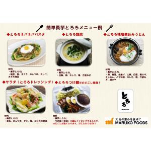 [冷凍]マルコフーズ とろろ 40g×20袋×2個の詳細画像4