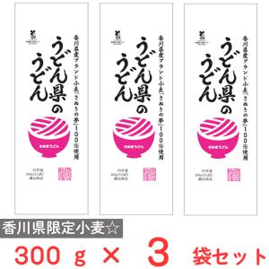 讃岐物産 うどん県のうどん 300g×3個｜smilespoon