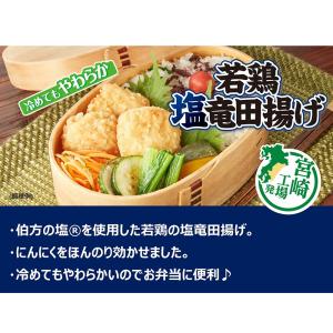 [冷凍] 日本ハム 若鶏塩竜田揚げ 6個入の詳細画像4