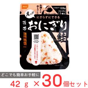 尾西食品 尾西食品 おにぎりシリーズ 携帯おにぎり 鮭 内容量：42g/仕上がり量：109g×30袋 アルファ米 非常用食品の商品画像