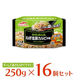 冷凍食品 炒飯 マルハニチロ WILDishねぎ塩豚カルビ炒飯 250g×16袋 | ワイルディッシュ｜Smile Spoon