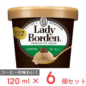 [アイス] ロッテ レディーボーデン ミニカップ コーヒー 120ml×6個｜Smile Spoon