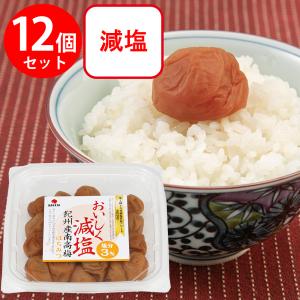 Camelicious キャメルミルクパウダー20g×24袋 ラクダのミルク ラクダの