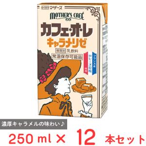 らくのうマザーズ カフェオレ キャラメリゼ 250ml 紙パック 48本 (24本