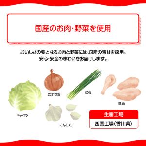 [冷凍]味の素冷凍食品 米粉でつくったギョーザ...の詳細画像5