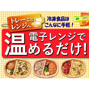 冷凍食品 ニップン よくばりプレート 和風おろ...の詳細画像5