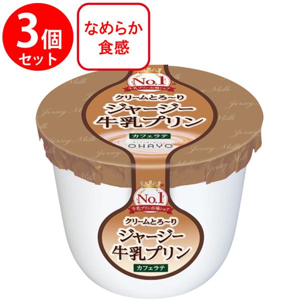 [冷蔵]オハヨー ジャージー牛乳プリン　カフェラテ 115g×3個