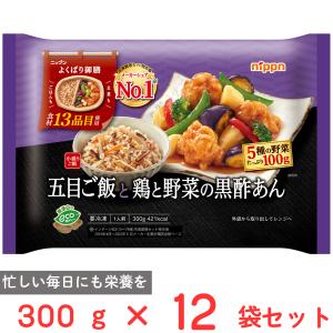 ニップン いまどきごはん 彩りスープカレー&ターメリックライス 320g