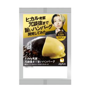 冷凍食品 ハンバーグ ジョイフル ヒカル考案 冗談抜きで旨いハンバーグ 173ｇ×15個 冷凍惣菜 惣菜 洋食 おかず お弁当 軽食 冷凍 冷食 時短 手軽 簡単 美味しい