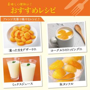 [冷凍] mikata 国産みかん 100gの詳細画像5