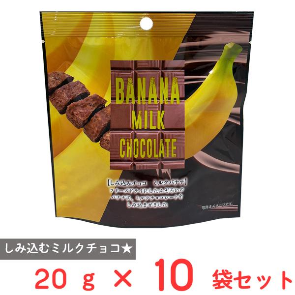 ユウカ しみ込みチョコ バナナ 20g×10袋