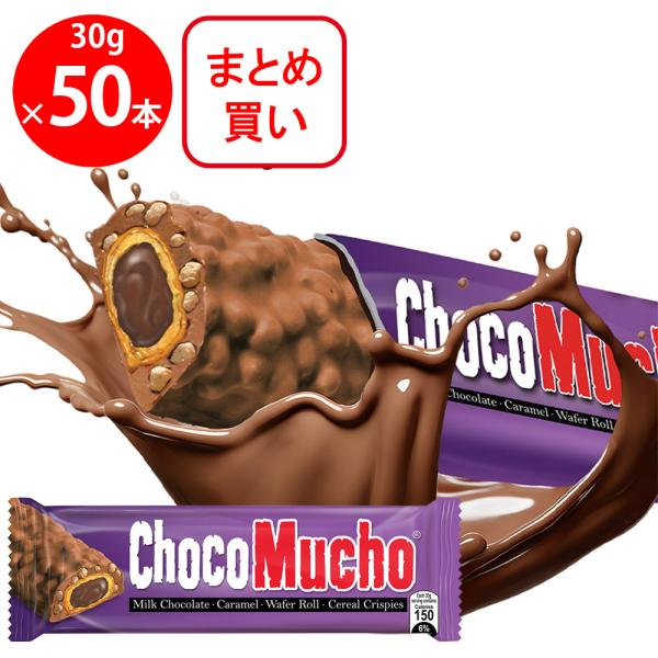 【訳あり40％OFF】 [冷蔵]ノルレェイク・インターナショナル Rebisco チョコムーチョミル...