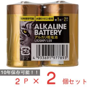 アルカリ乾電池レギュラー　単1　2P 日用品 ノンフード×2個｜smilespoon