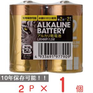 アルカリ乾電池レギュラー　単2　2P 日用品 ノンフード｜smilespoon