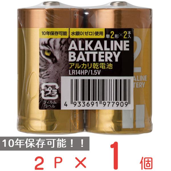 アルカリ乾電池レギュラー 単2 2P 日用品 ノンフード