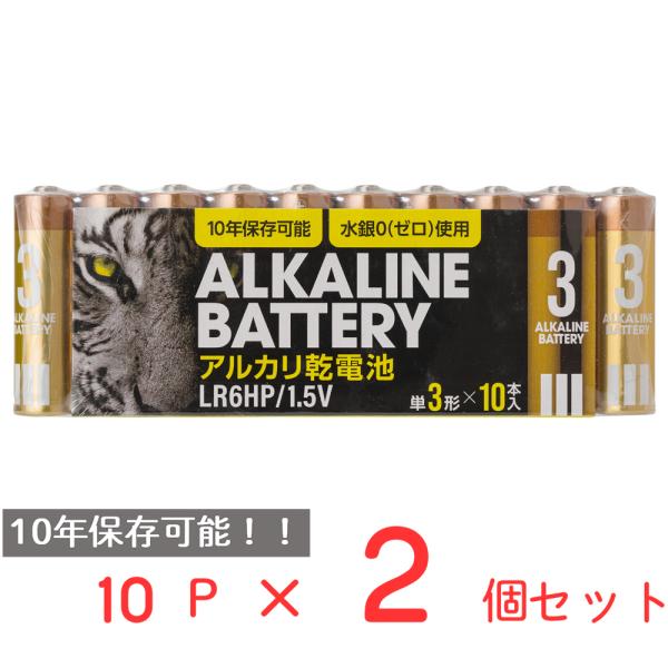 アルカリ乾電池レギュラー 単3 10P 日用品 ノンフード×2個