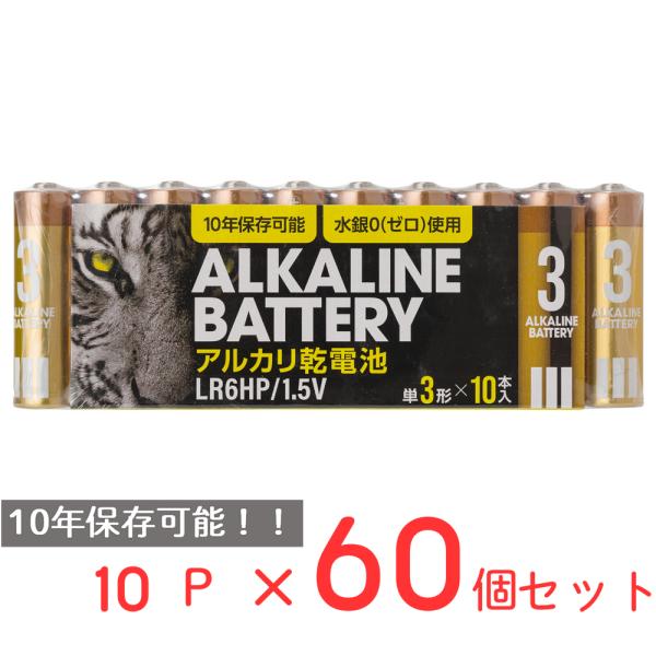 アルカリ乾電池レギュラー　単3　10P 日用品 ノンフード×60個
