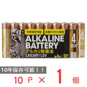 アルカリ乾電池レギュラー　単4　10P 日用品 ノンフード｜smilespoon