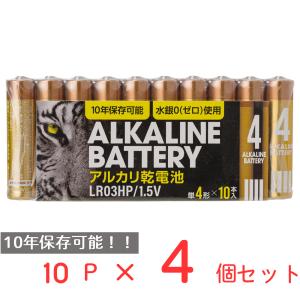 アルカリ乾電池レギュラー　単4　10P 日用品 ノンフード×4個｜smilespoon