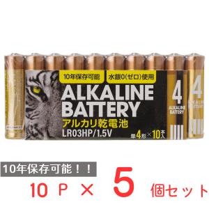 アルカリ乾電池レギュラー　単4　10P 日用品 ノンフード×5個｜smilespoon