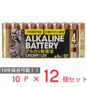 アルカリ乾電池レギュラー　単4　10P 日用品 ノンフード×12個｜smilespoon