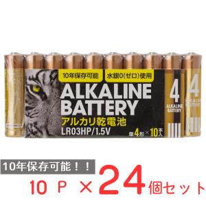 アルカリ乾電池レギュラー　単4　10P 日用品 ノンフード×24個｜smilespoon