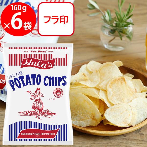 フラ印 アメリカンポテトチップス うすしお味 160g×6袋