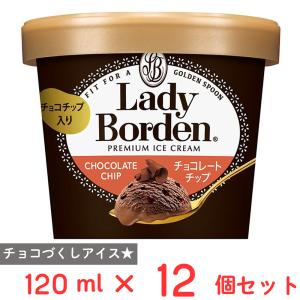 レディーボーデン [アイス] ロッテ ミニカップ バニラ 120ml×6個