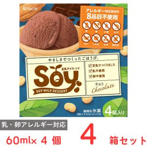 [アイス] クラシエ Soyマルチ チョコ 60ml×4個×4箱